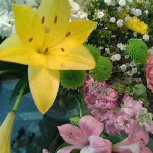 Meet your Posher, Thomas